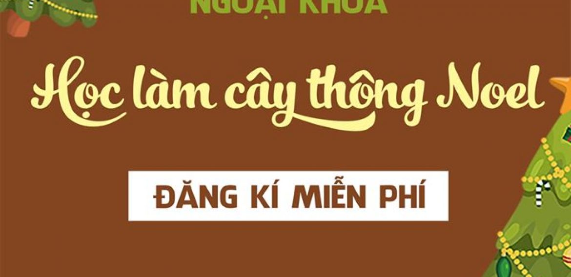 NGOẠI KHÓA: HỌC LÀM CÂY THÔNG NOEL